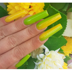 HALO VSP 8ml LIME SODA couvrance 5/5 by PURE NAILS UK