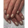 HALO VSP 8ml HOLOGRAM Holographique couvrance 1/5 by PURE NAILS UK