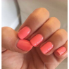 HALO VSP 8ml CORAL HEMA Free by PURE NAILS UK