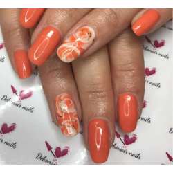 HALO VSP 8ml APRICOT Couvrance 5/5 by PURE NAILS UK