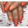 HALO VSP 8ml APRICOT Couvrance 5/5 by PURE NAILS UK