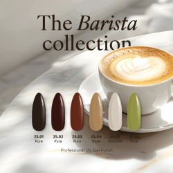 Collection Barista 6 VSP...